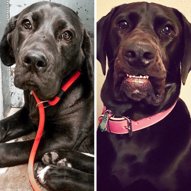 12e6d95e16afaebeb2975c5819