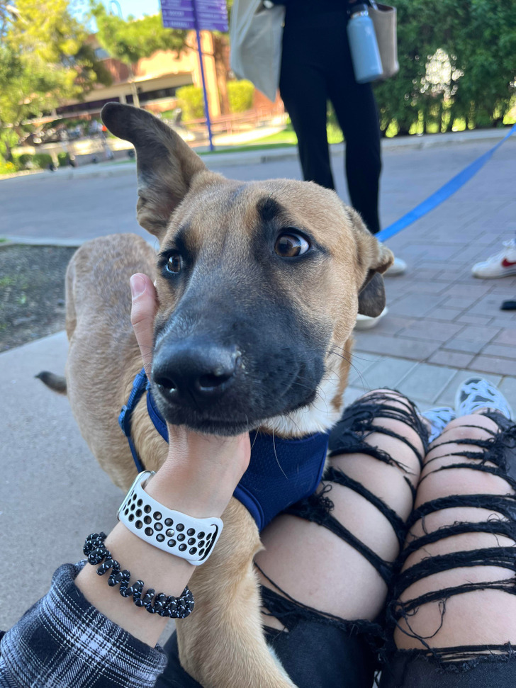 12e70e52419e5822655a8911ab