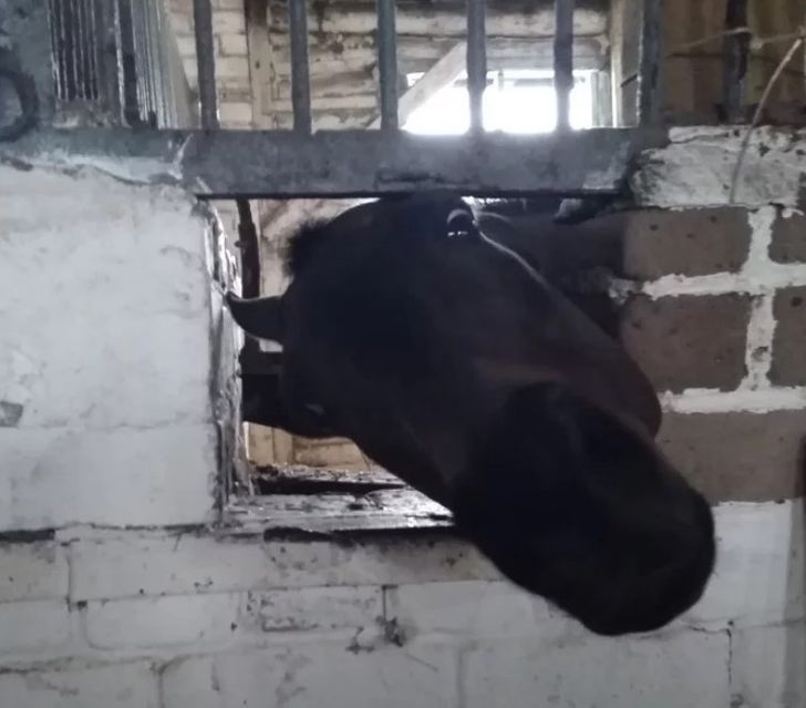 12ebb45c5ca2b71f07b96a1753