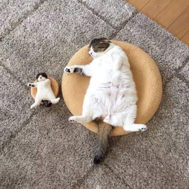 12f1f354a7a8a3960ccfb59f85 12f1f354a7a8a3960ccfb59f85