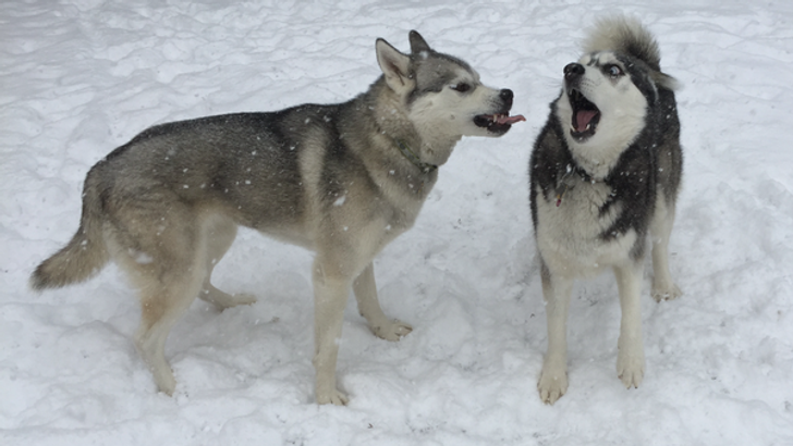 12f5da59a4ada263440dc09e04