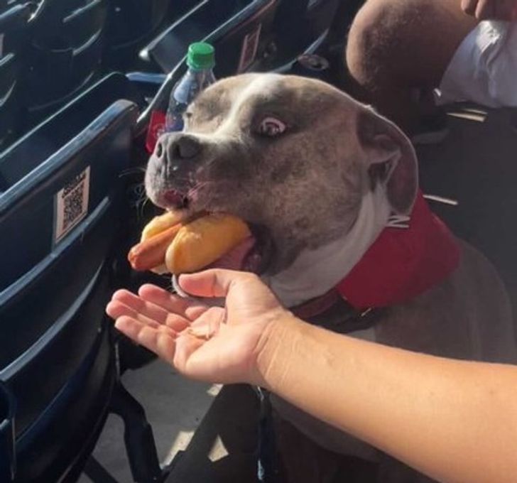 1308455d1abcba8eabccff28d2