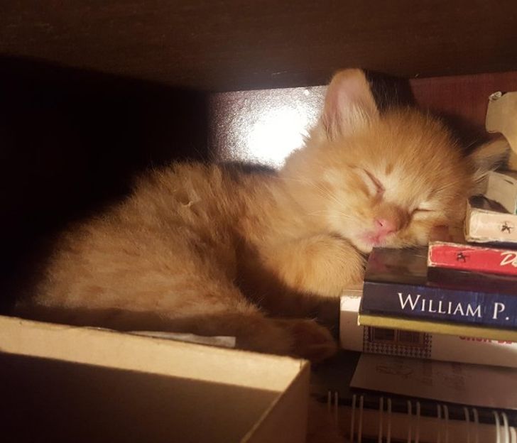 130dcc5c24a078bfd04f39b19f