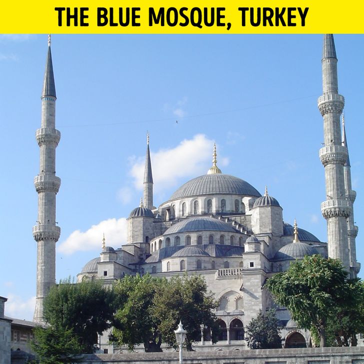 13177e5212bd6dedfa98b2c983