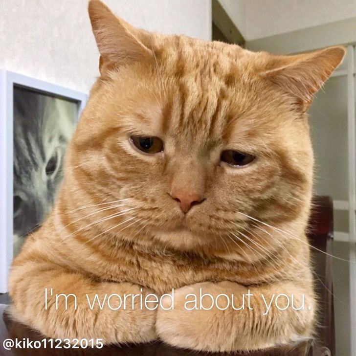 131a085078a2f4858f7930e8ef