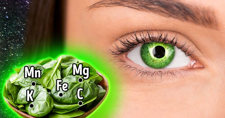 13244b5d50b54a6b7a203c080f