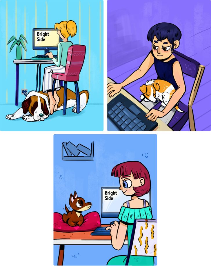 13303e5b309360a8f8615b3500