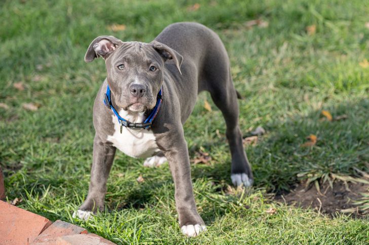 1336035d4bab170c4639ad5a40