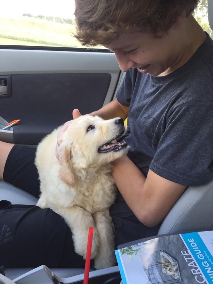 13421a57738a8b51298222dc61 13421a57738a8b51298222dc61