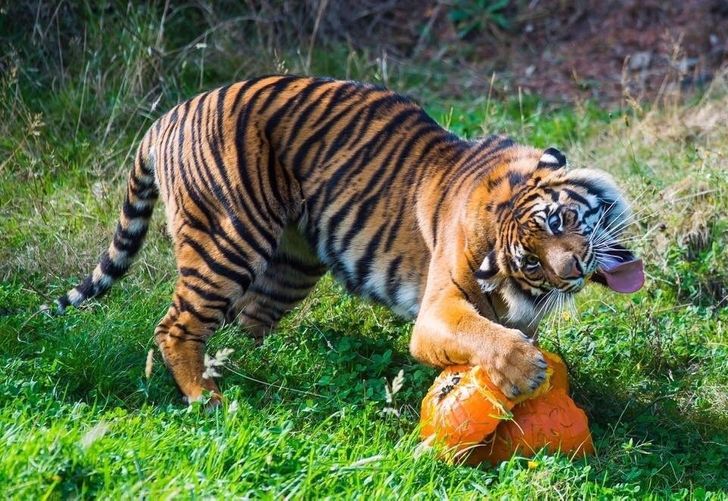 134f2e5be5a17e8277aa98f5c3