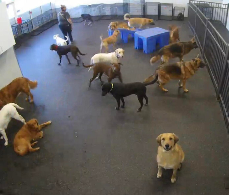 13511b5004942efbd7a2145c19