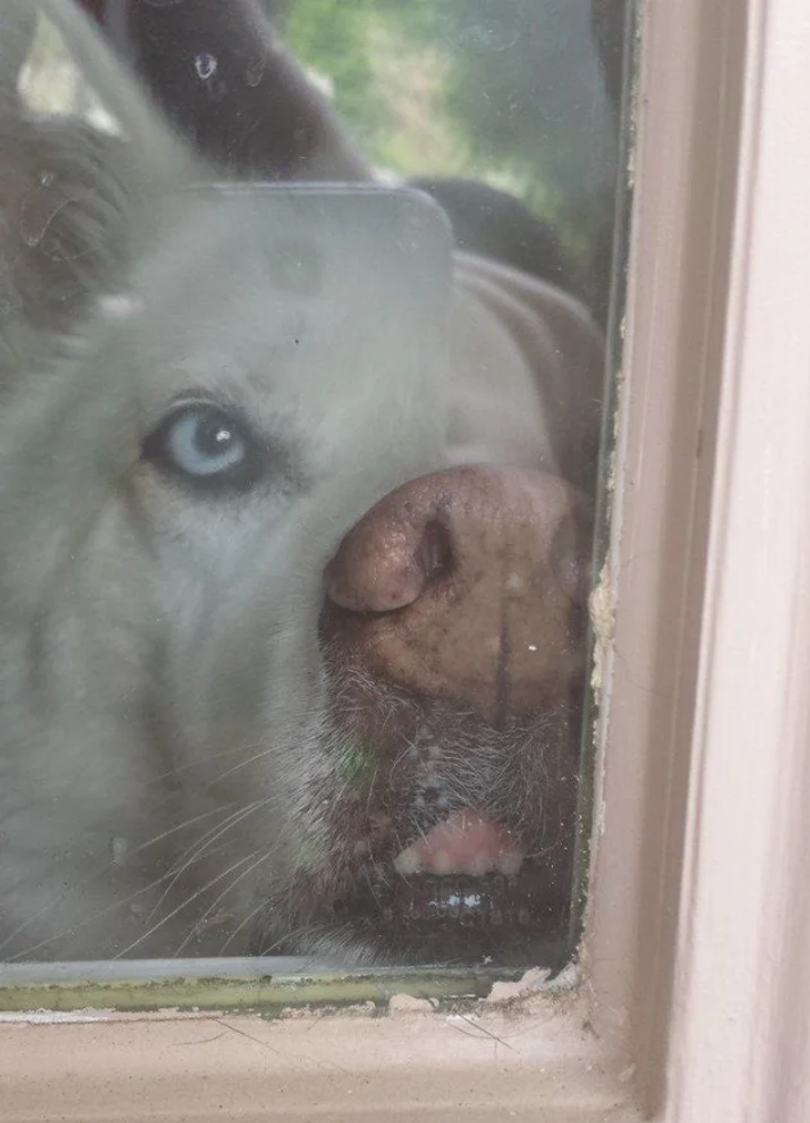 13531450adbc50ef1ea1f6a422