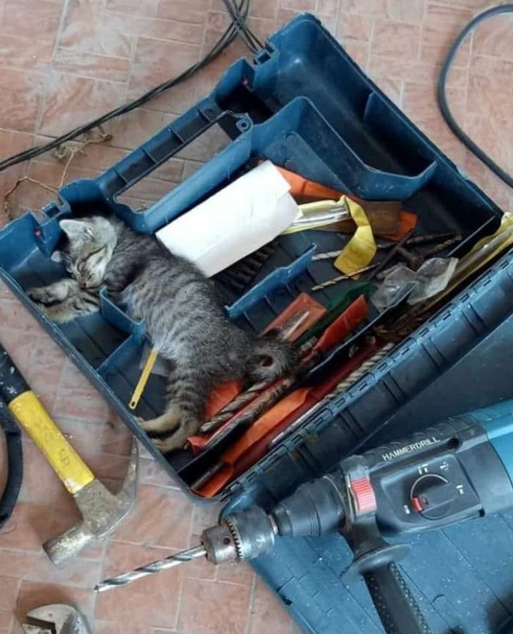 13596759afa119a4eee40dfc1c