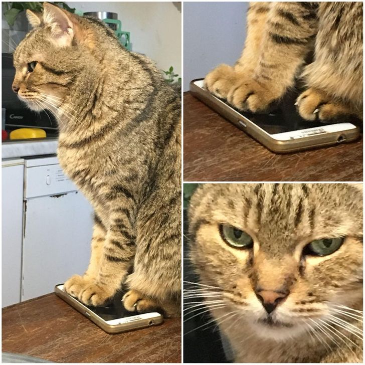 135afa5e38b195360f0097d1e9 135afa5e38b195360f0097d1e9