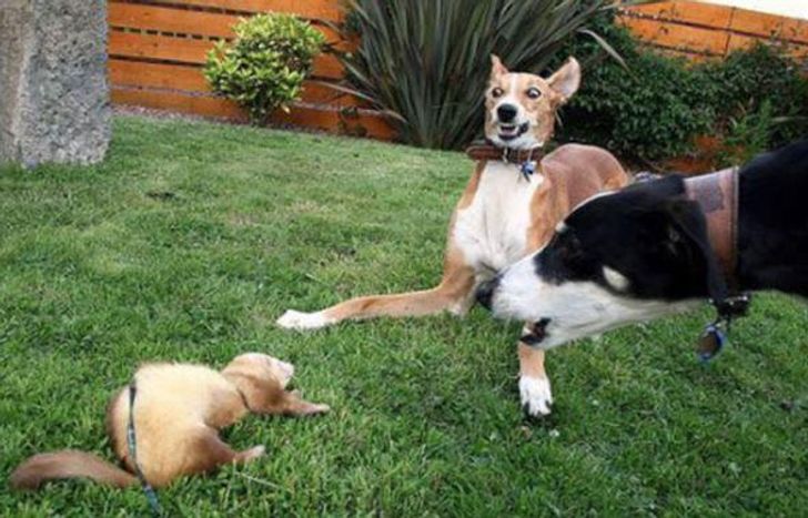 135ba05344b6abd2349e321f16