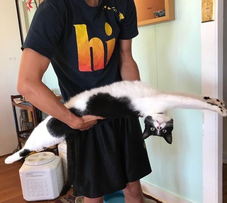 135efc5dc79f9d71324dd851cd