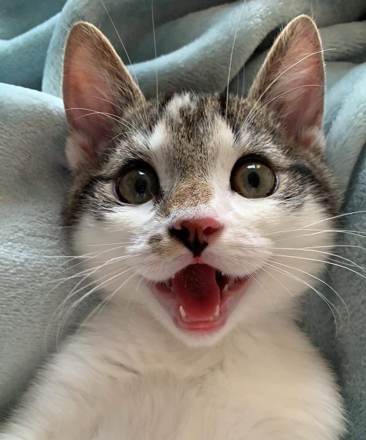 135ff659788d994b4fe700f3b5