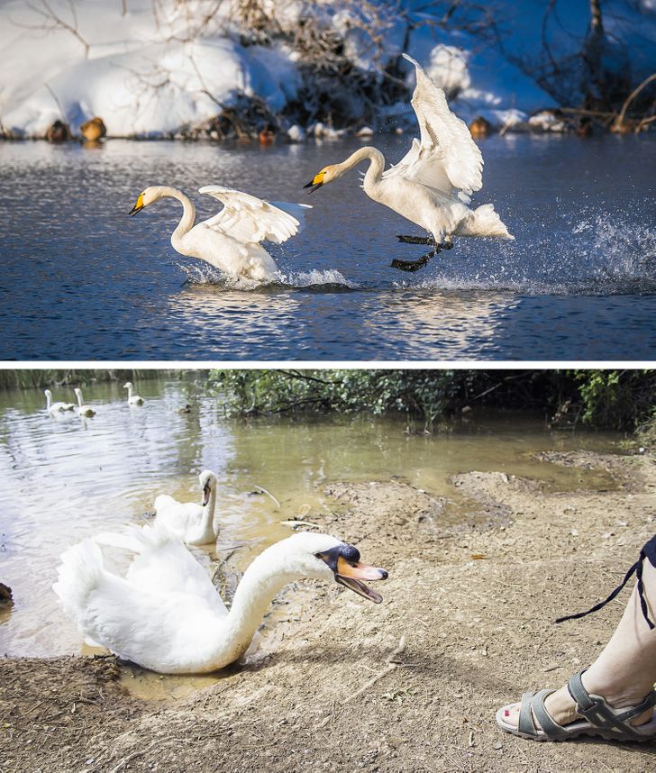 1369d156029d124dc63937f38c