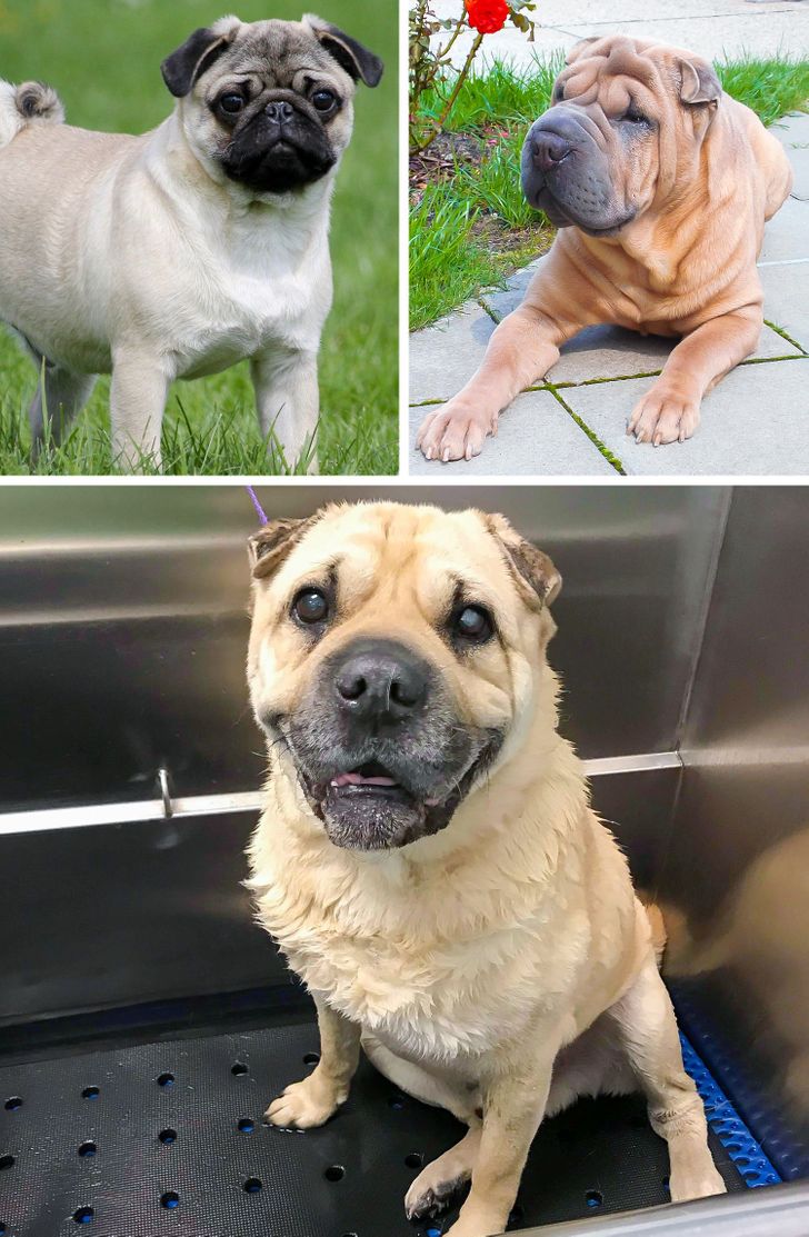 136d1e5a09b806d54300385164