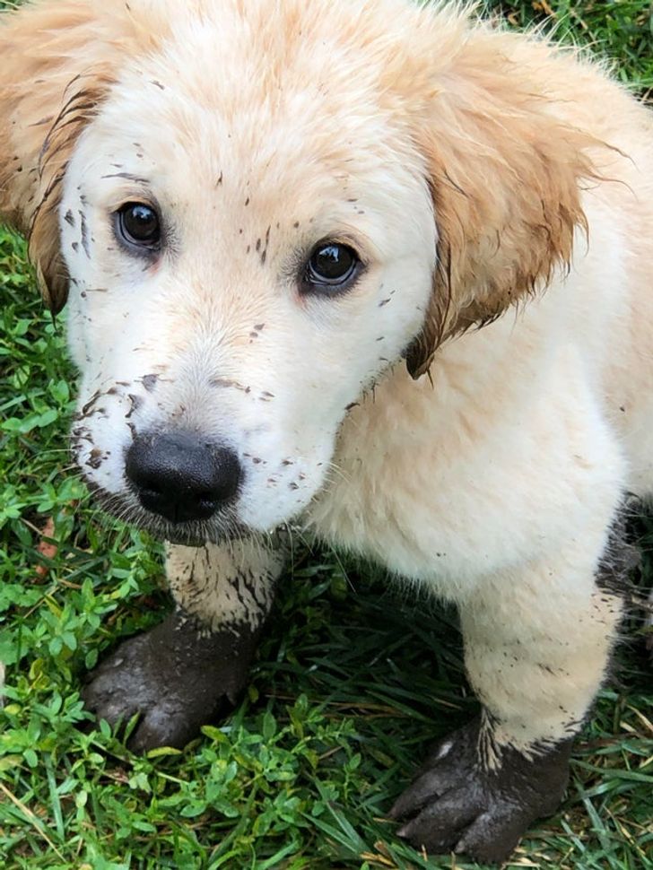 1371df5ea5930699f10e3b3709