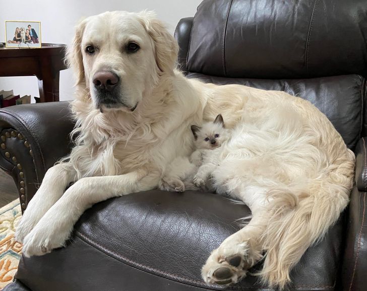 13766c54cd89a976c77228b959