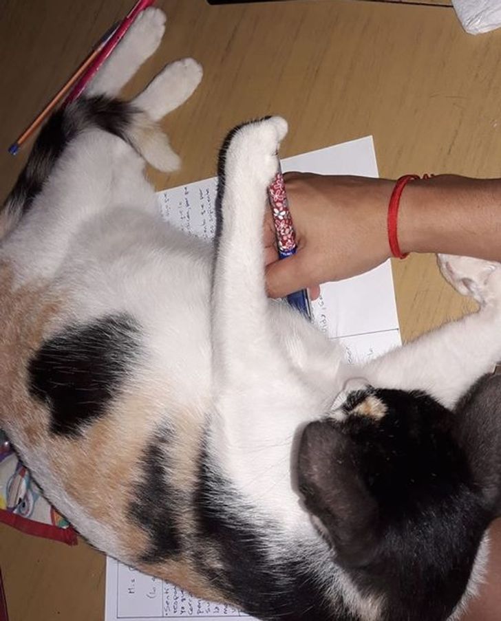 1377f85488942df78ae18c98bf