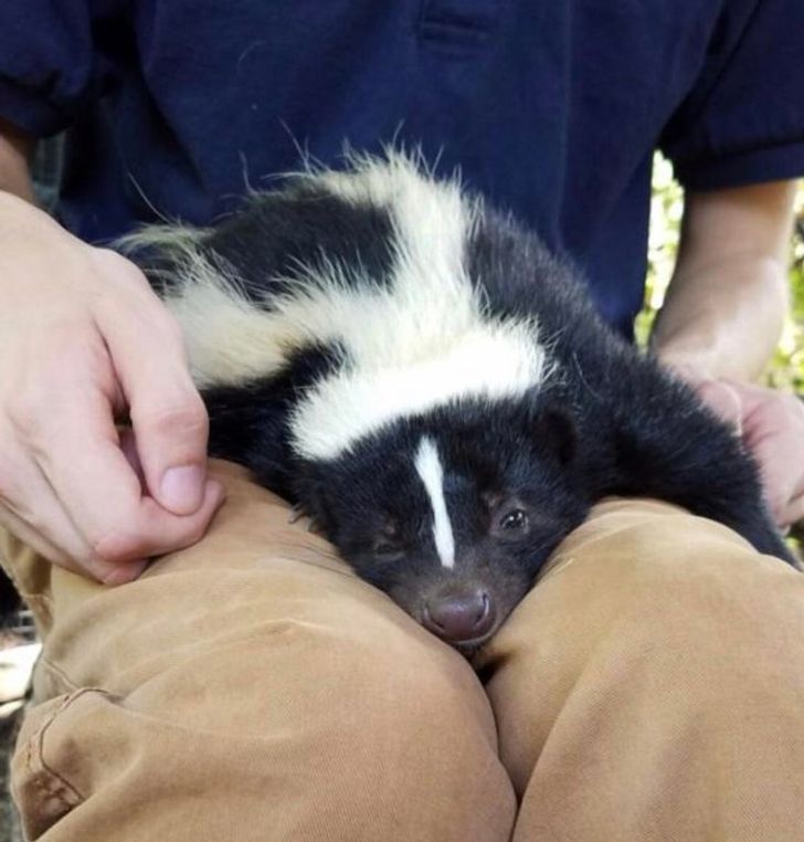 1379e056eba5e28514c573dc96