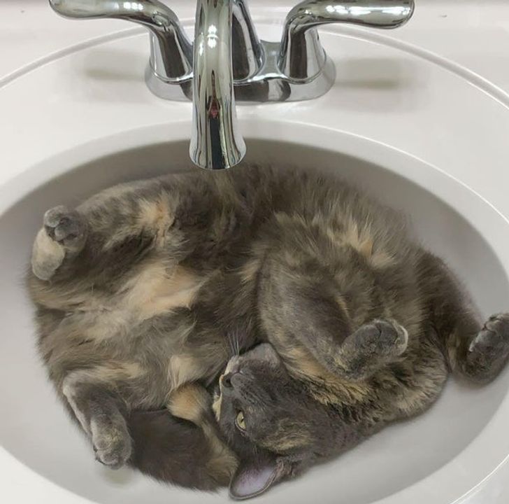 1379e555d093ced46f956ce534