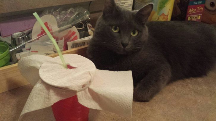 137ec45ea49977eb55ce5f27b0