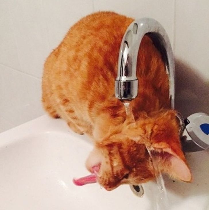 13859f5e4bb23b467b8e6563a3