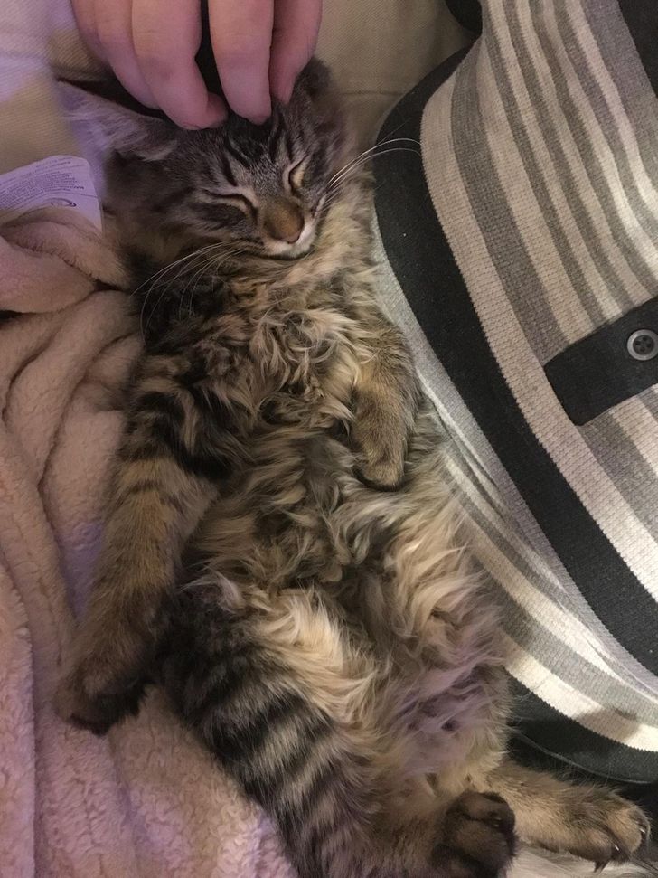 13894259fd817fa62d44b30a44