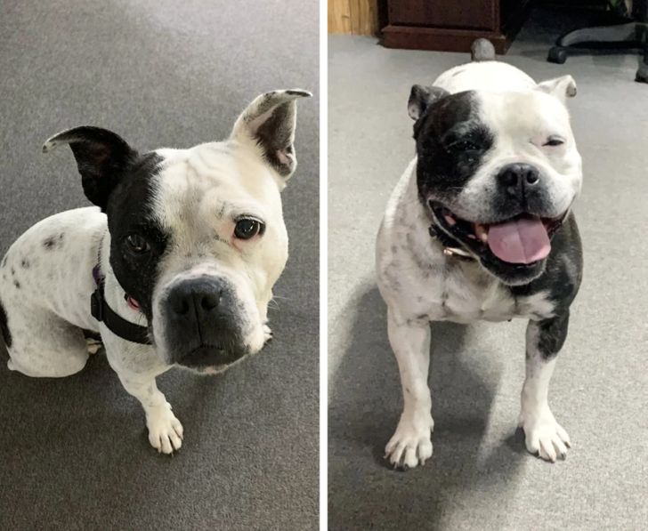 138f2d5a5080d914d3d5850a43