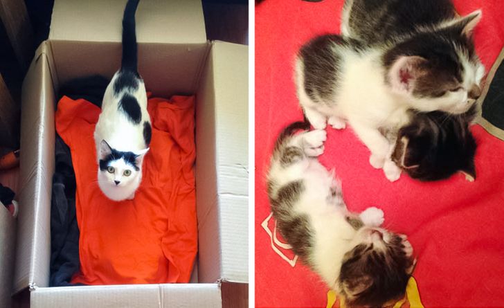 13926c51439b83519d9ac34b7e