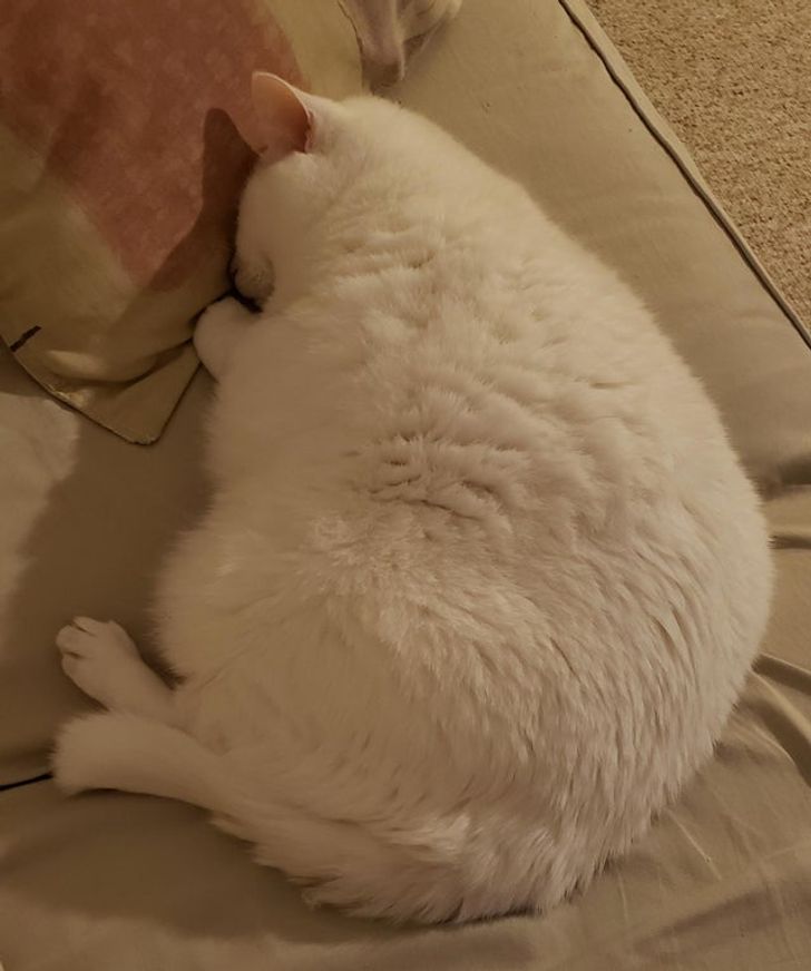 13952e59198f37055b342e6a27