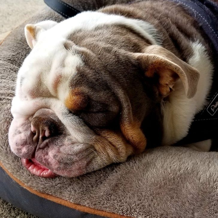 13a58355429875e18f5a567dd8