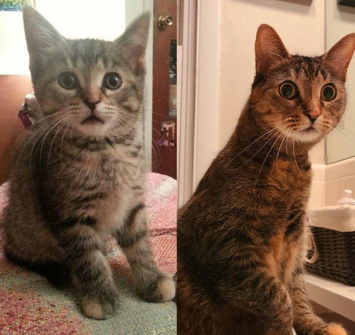 13af82541ba1866cdb5f74a514