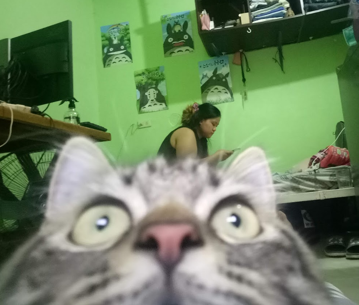 13bba552a395f27c39d2b18707 13bba552a395f27c39d2b18707