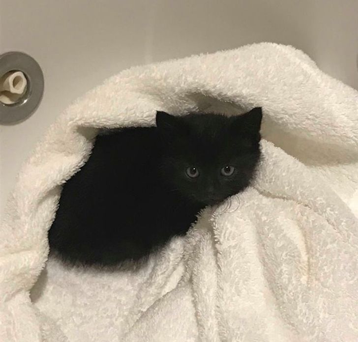 13c16750a39fb0b09a97148f74