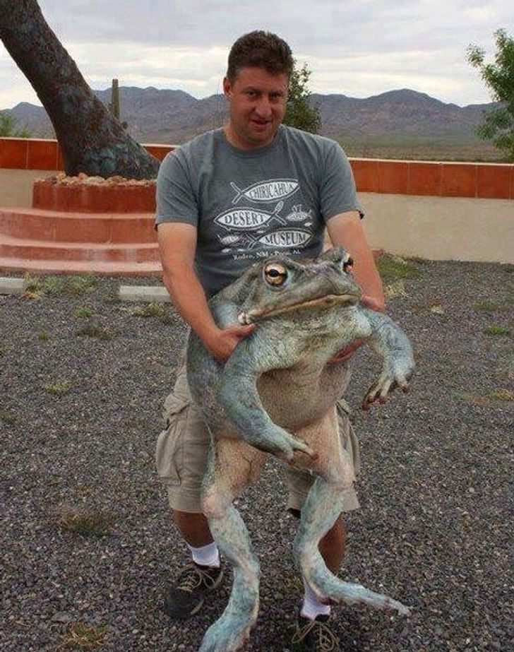 13c55d534ca3e42cff54d95298