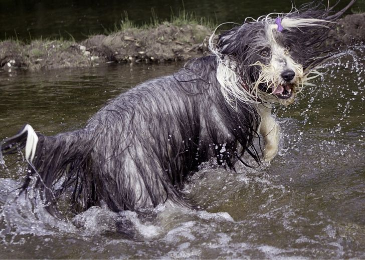 13c74355d8833fab9ec82aa118