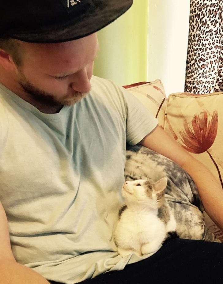 13cb7850689a68698200b50702