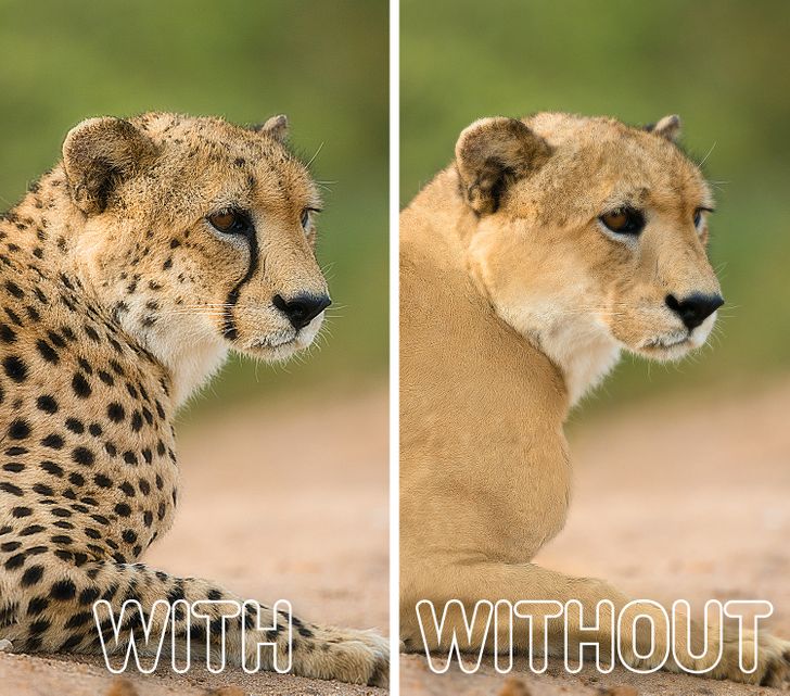 13ce775916a215f4324b1954f9