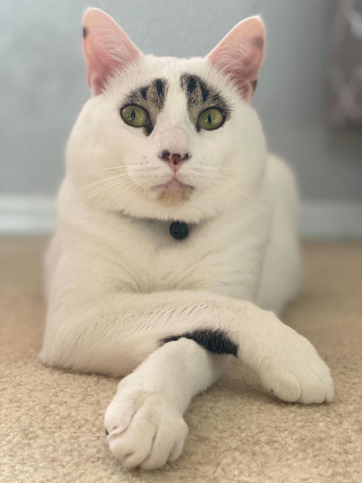 13db43571fb553fc065c0f8f94 13db43571fb553fc065c0f8f94