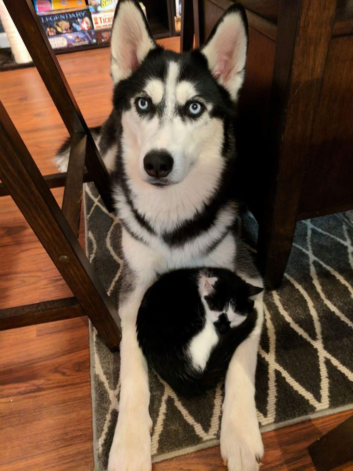 13db505f7e9da256d0addd0336