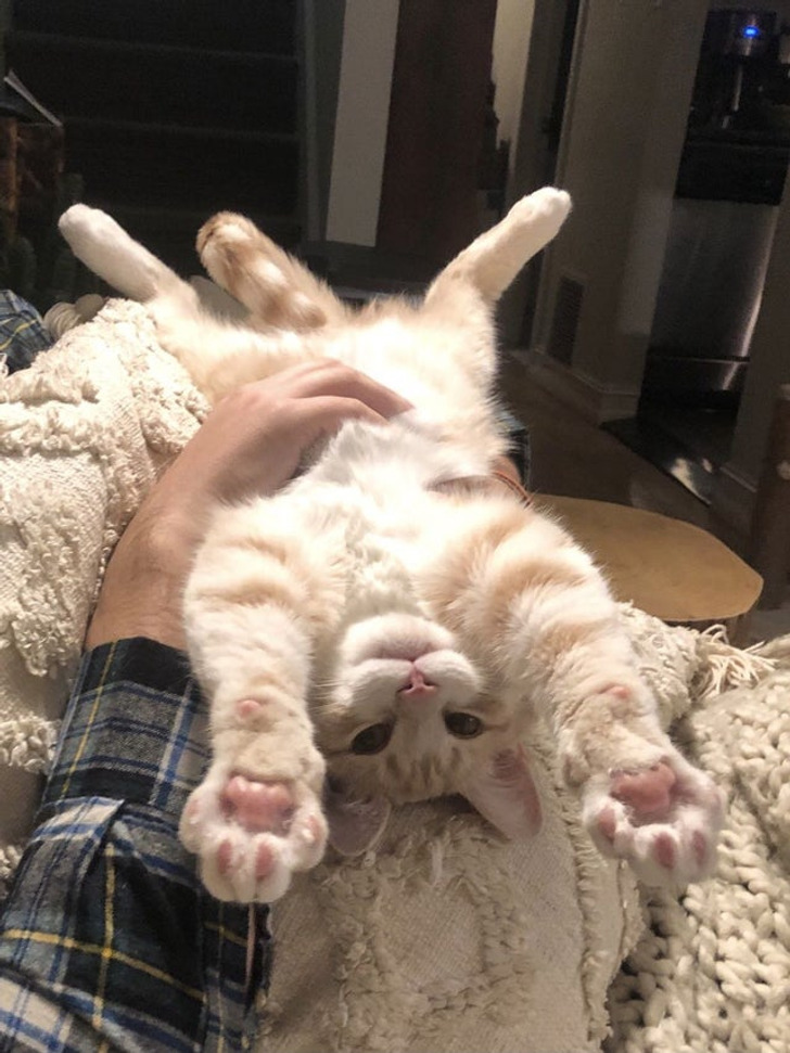 13ddc056faade05ca44c233613