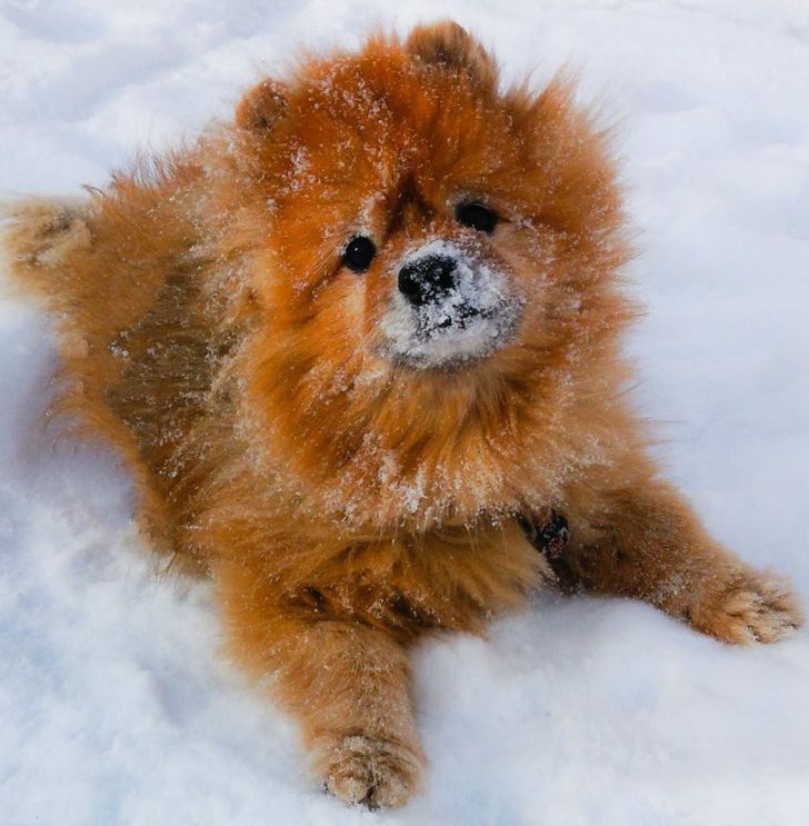 13e1fc5809ae8aff5a06c70a68