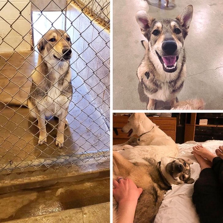 13e5275610bdb7919c43fc1ea5