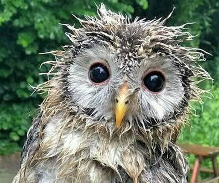 13ec2f59e48a326682c0d48d5e