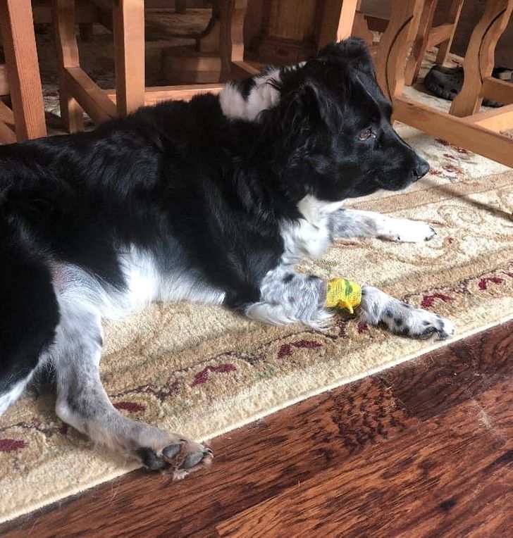 13f59851769450eb0eb4ea9e57