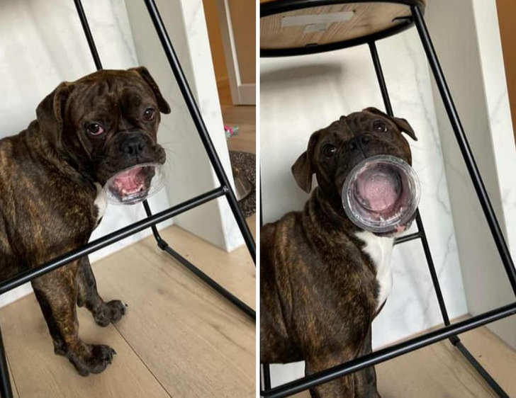 13fb6e5e7f8477588778d83c83